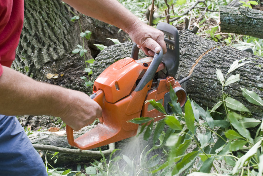 tree services - tree trimming san antonio